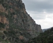 Topolia